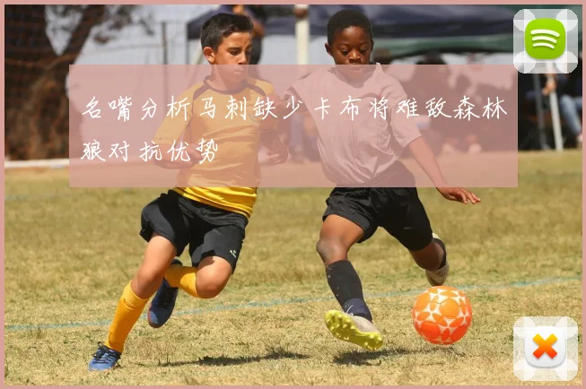名嘴分析马刺缺少卡布将难敌森林狼对抗优势