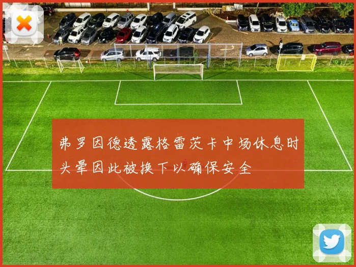 弗罗因德透露格雷茨卡中场休息时头晕因此被换下以确保安全